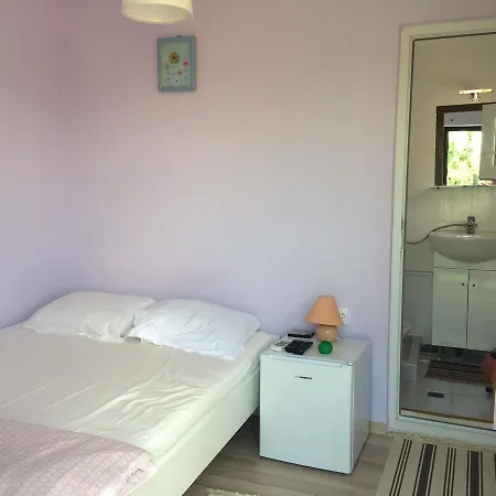 Guest house Delta Florilor