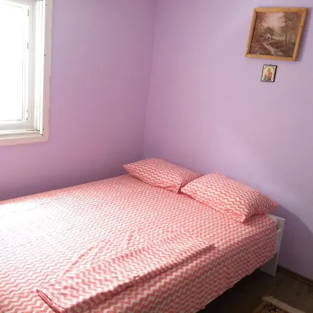 Delta Florilor Guest house Sulina