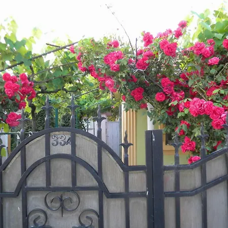 Delta Florilor