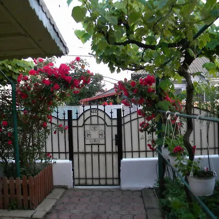 Delta Florilor Pensiune Sulina
