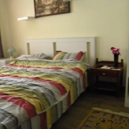 Delta Florilor Guest house *